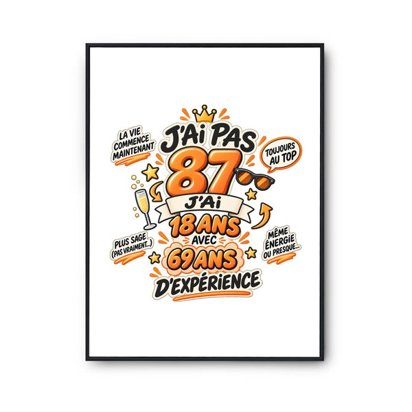 Poster Anniversaire 087 Ans Expérience | Affiche Papier Photo 310 g Finition Perlée Format A4 à A2 | Déco Murale Salon Chambre | Idée Cadeau Crémaillère