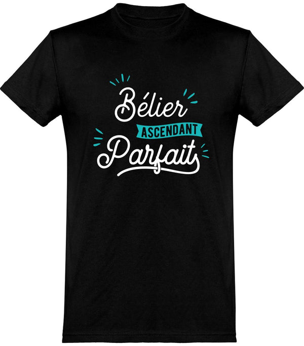  T shirt homme bélier ascendant parfait