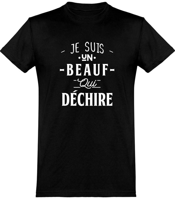  T shirt homme un beauf qui déchire 2