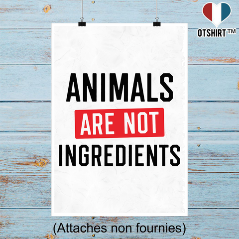 Affiche animals are not