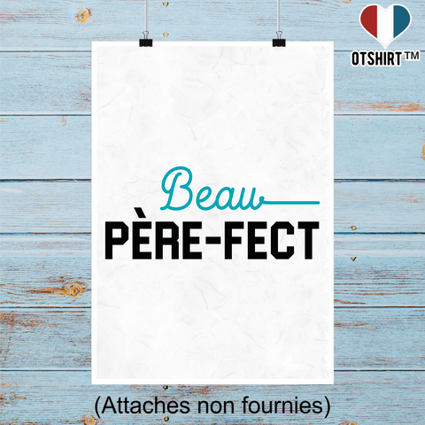 Affiche beau père-fect 2