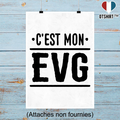 Affiche c'est mon evg 2