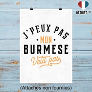 Affiche j peux pas burmese