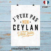 Affiche j peux pas ceylan