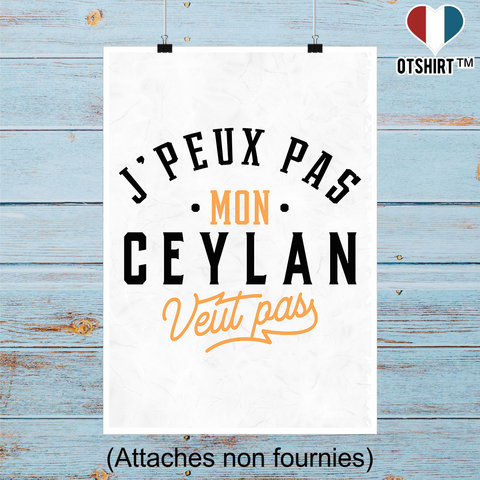 Affiche j peux pas ceylan