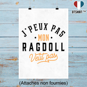 Affiche j peux pas ragdoll