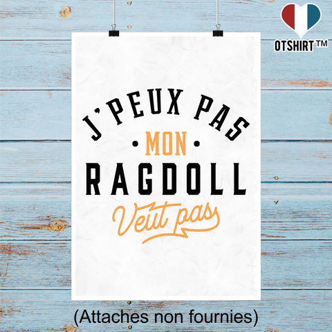 Affiche j peux pas ragdoll