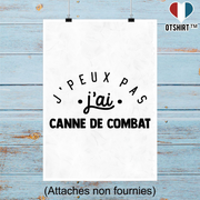 Affiche j'peux pas j'ai canne de combat 2