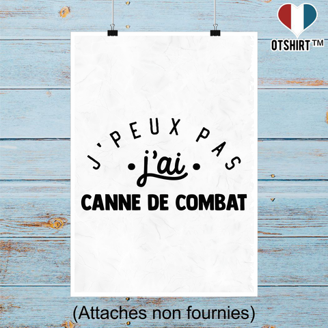 Affiche j'peux pas j'ai canne de combat 2