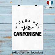 Affiche j'peux pas j'ai canyonisme 2