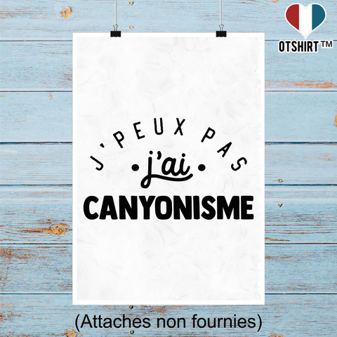 Affiche j'peux pas j'ai canyonisme 2