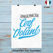 Affiche j'peux pas j'ai cerf volant