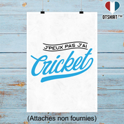 Affiche j'peux pas j'ai cricket