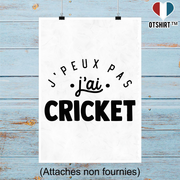 Affiche j'peux pas j'ai cricket 2