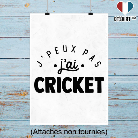Affiche j'peux pas j'ai cricket 2