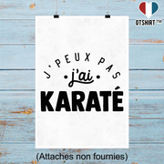 Affiche j'peux pas j'ai karaté 2