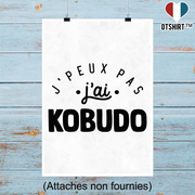 Affiche j'peux pas j'ai kobudo 2
