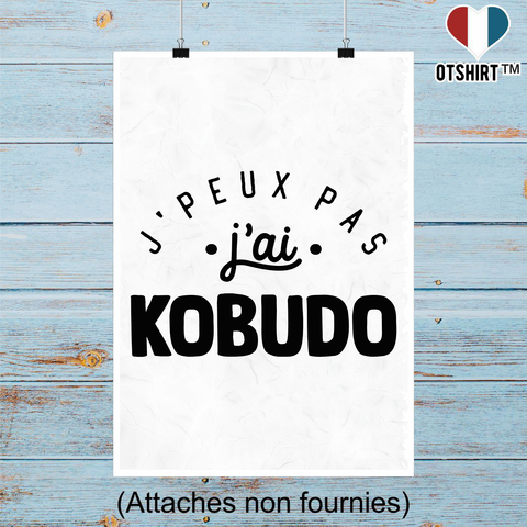 Affiche j'peux pas j'ai kobudo 2