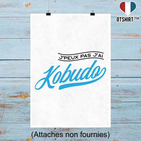 Affiche j'peux pas j'ai kobudo