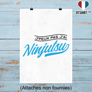 Affiche j'peux pas j'ai ninjutsu