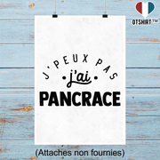 Affiche j'peux pas j'ai pancrace 2