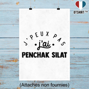 Affiche j'peux pas j'ai penchak silat 2