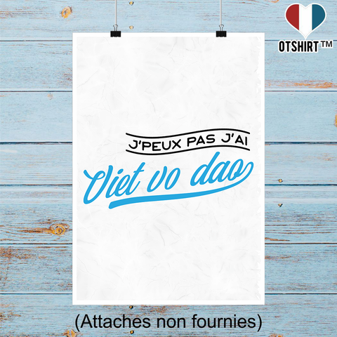 Affiche j'peux pas j'ai viet vo dao