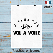 Affiche j'peux pas j'ai vol à voile 2