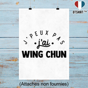 Affiche j'peux pas j'ai wing chun 2