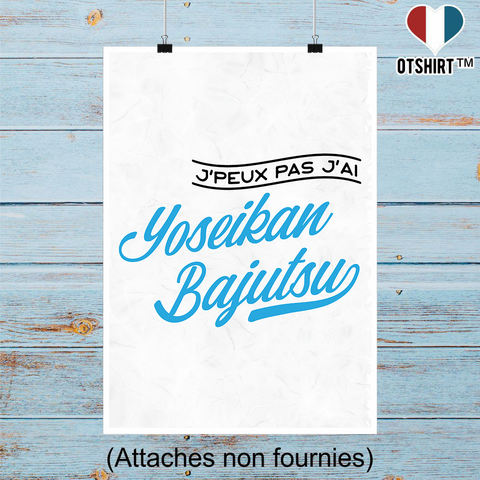 Affiche j'peux pas j'ai yoseikan bajutsu