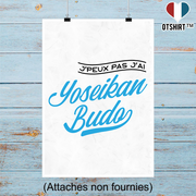 Affiche j'peux pas j'ai yoseikan budo
