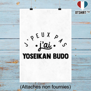 Affiche j'peux pas j'ai yoseikan budo 2