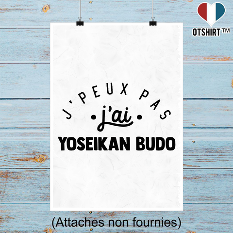 Affiche j'peux pas j'ai yoseikan budo 2