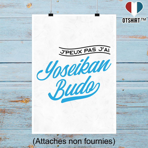 Affiche j'peux pas j'ai yoseikan budo