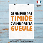 Affiche je ne suis pas timide