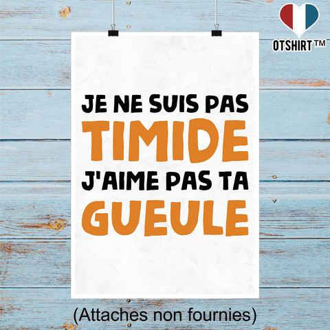 Affiche je ne suis pas timide