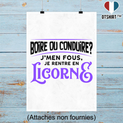 Affiche je rentre en licorne