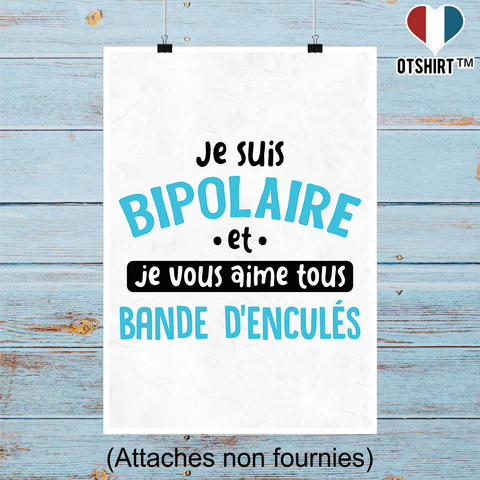 Affiche je suis bipolaire