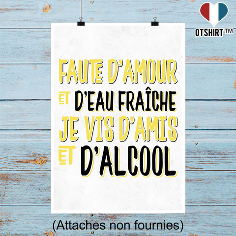Affiche je vis d'amis et d'alcool