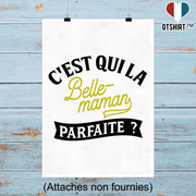 Affiche la belle-maman parfaite