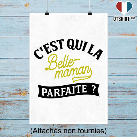 Affiche la belle-maman parfaite