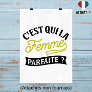 Affiche la femme parfaite 2