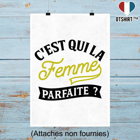 Affiche la femme parfaite 2