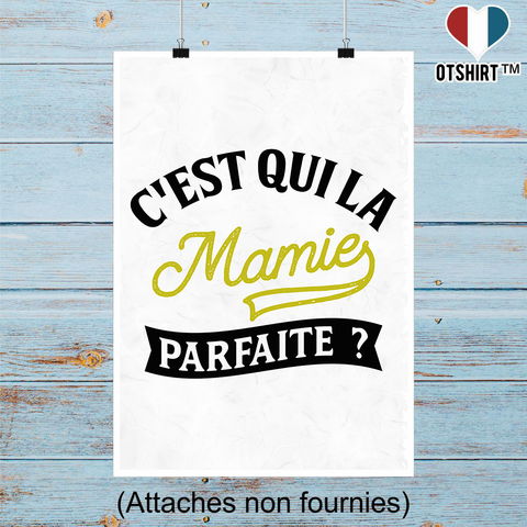 Affiche la mamie parfaite