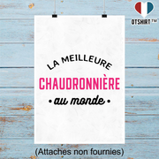 Affiche la meilleure chaudronnière au monde