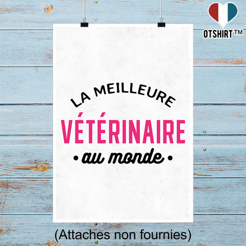 Affiche la meilleure vétérinaire au monde