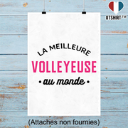 Affiche la meilleure volleyeuse au monde