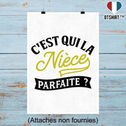 Affiche la nièce parfaite