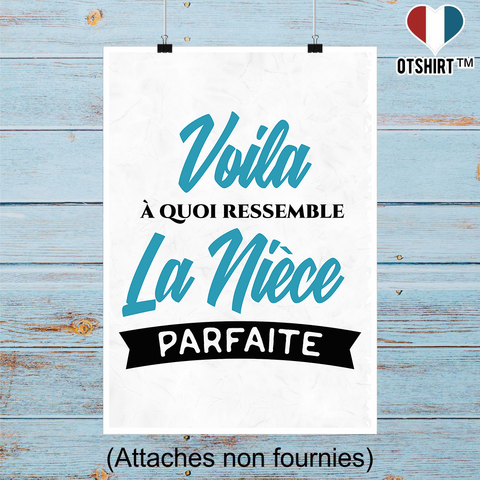 Affiche la nièce parfaite 2