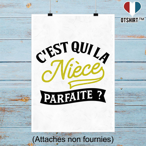 Affiche la nièce parfaite